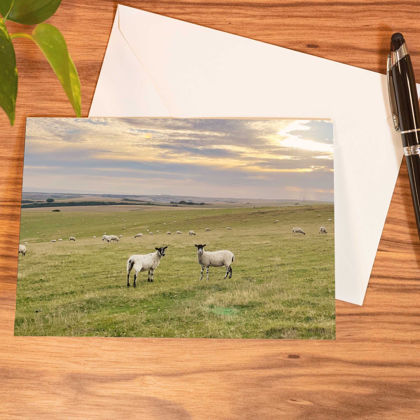 Firle Beacon Slopes Greeting Card