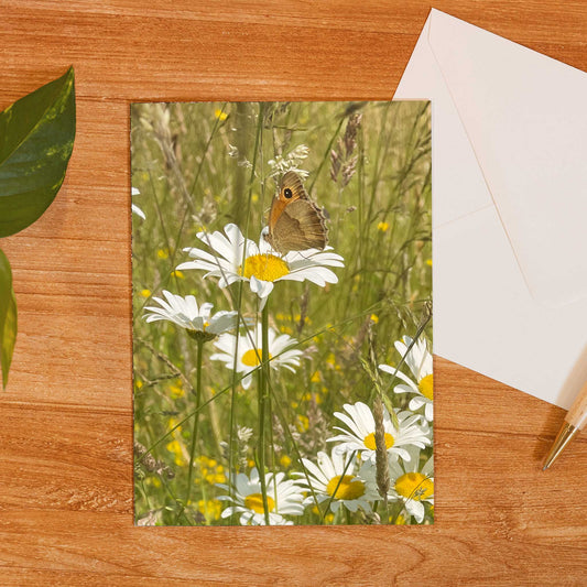 Butterfly on Daisy Greeting Card