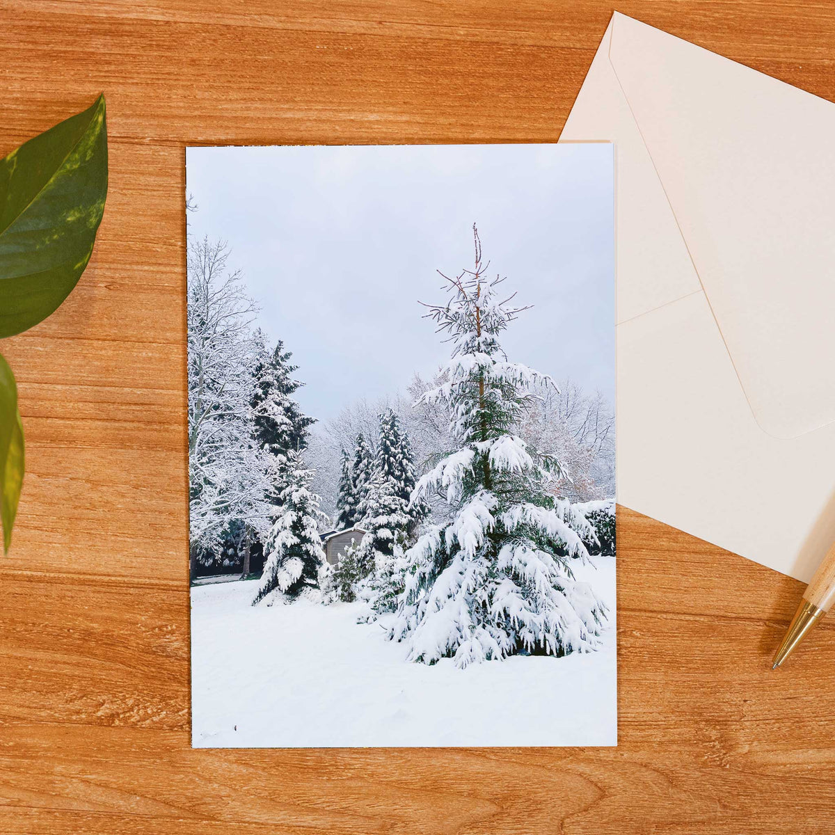 Winter Wonderland