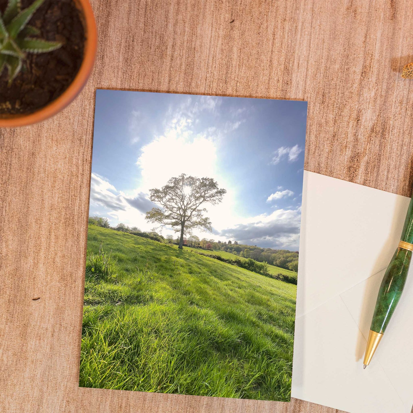 Spring Sunshine Greeting Card