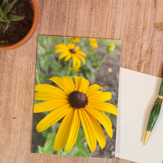 Black Eyed Susans Greeting Card