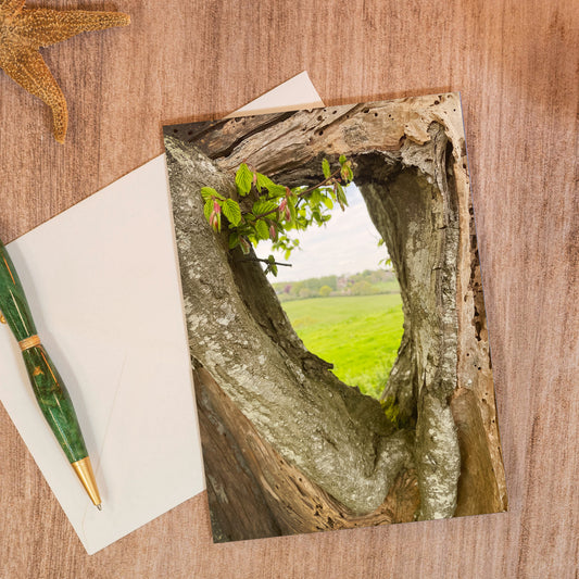 "Framed" Greeting Card