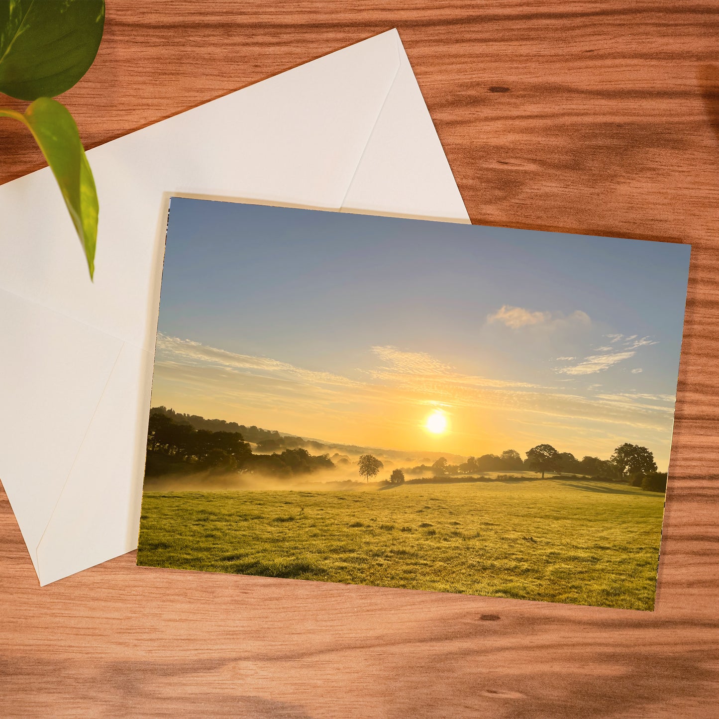 Morning Sun Greeting Card