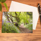 Sunken Lane in Spring Greeting Card