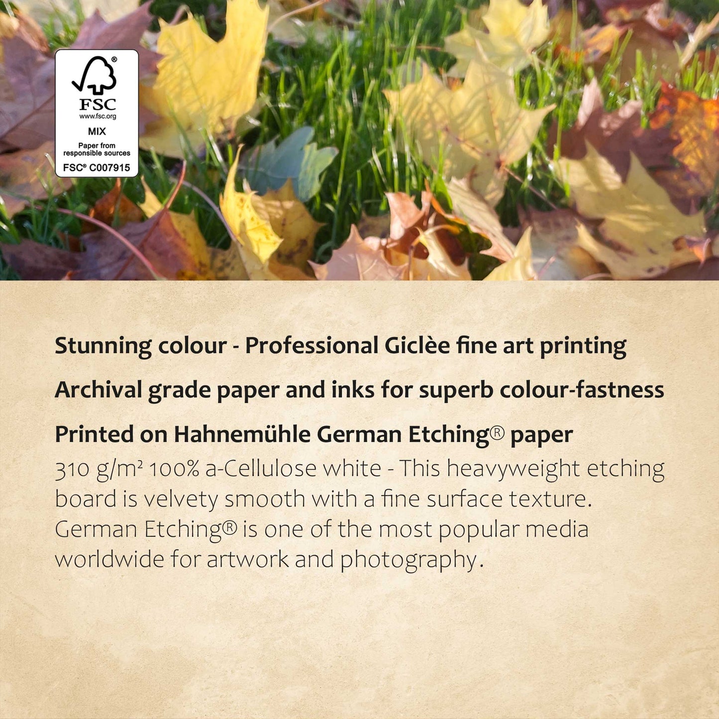 Autumn Leaves Print