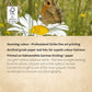 Butterfly On Daisy Print