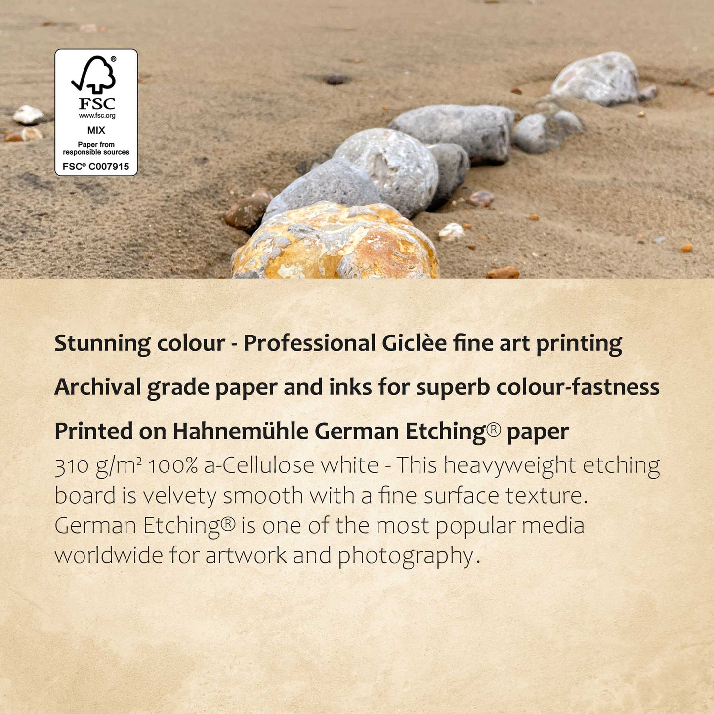 Camber Sands Stones Print