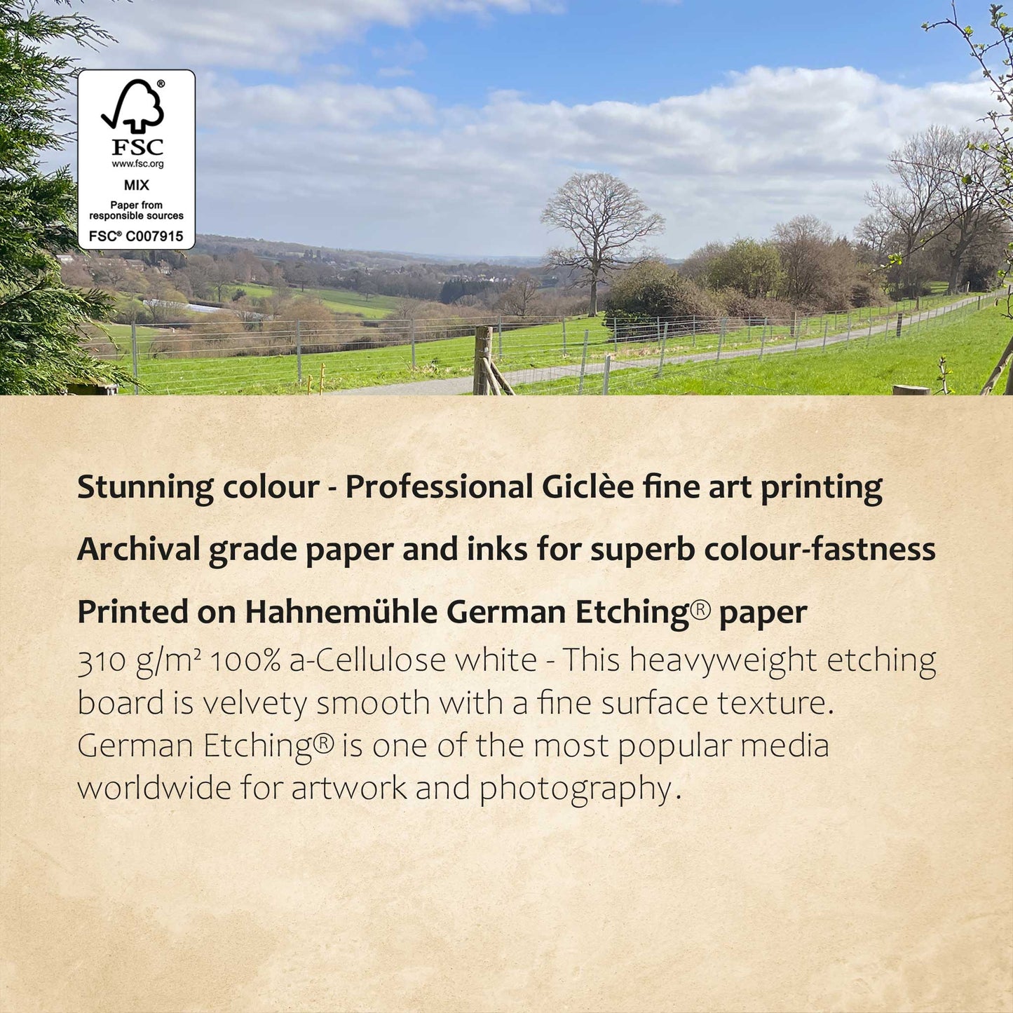 The Open Gate Print