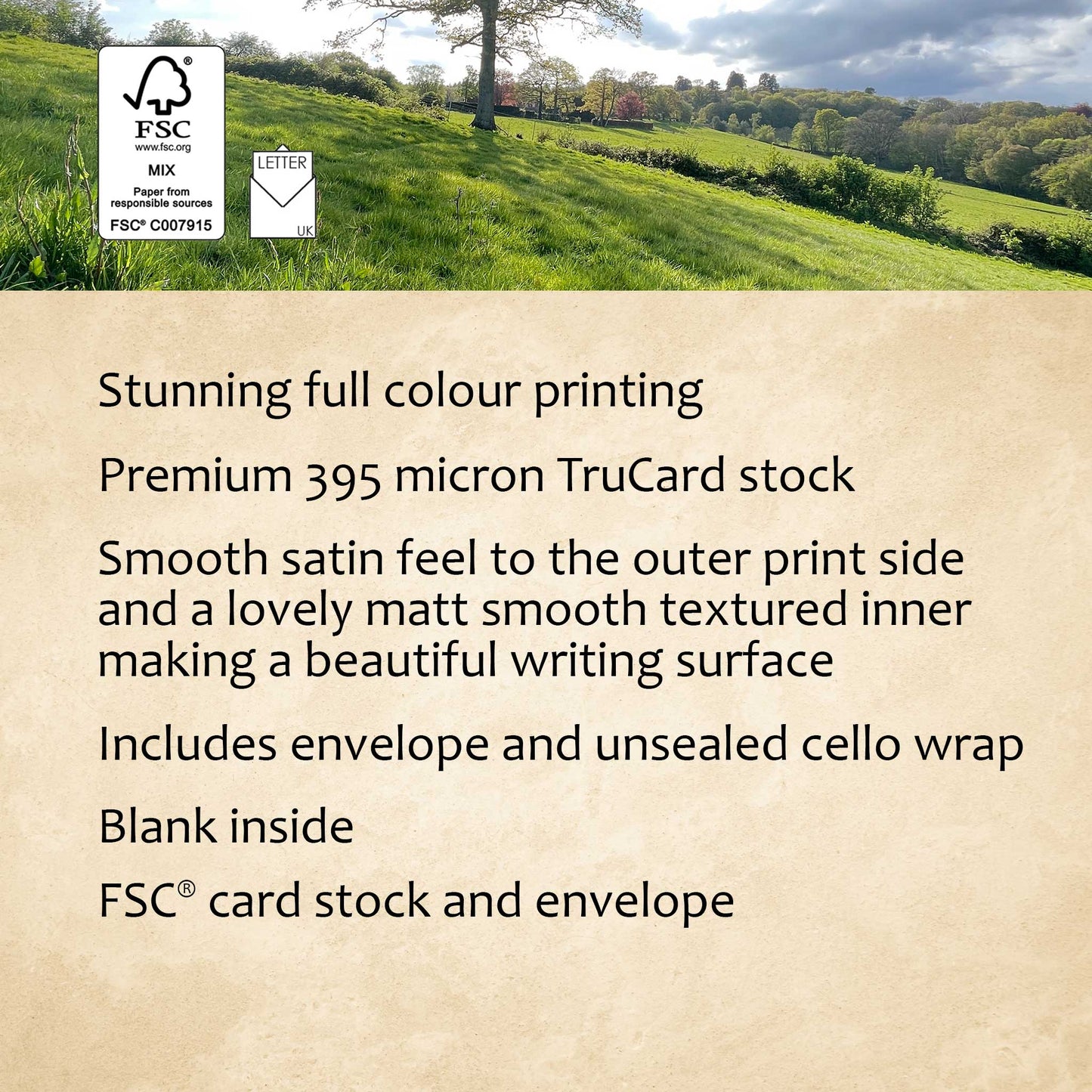 Spring Sunshine Greeting Card