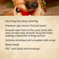 Christmas Lincoln