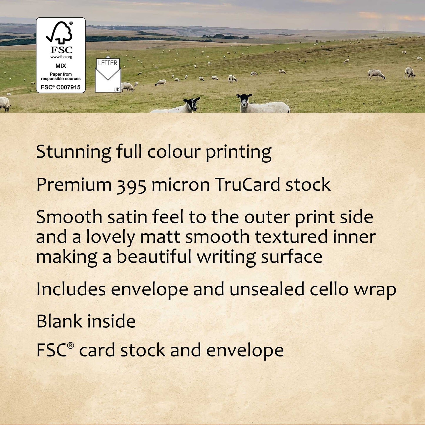 Firle Beacon Slopes Greeting Card