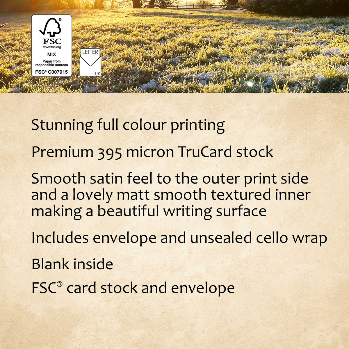 Winter Sun