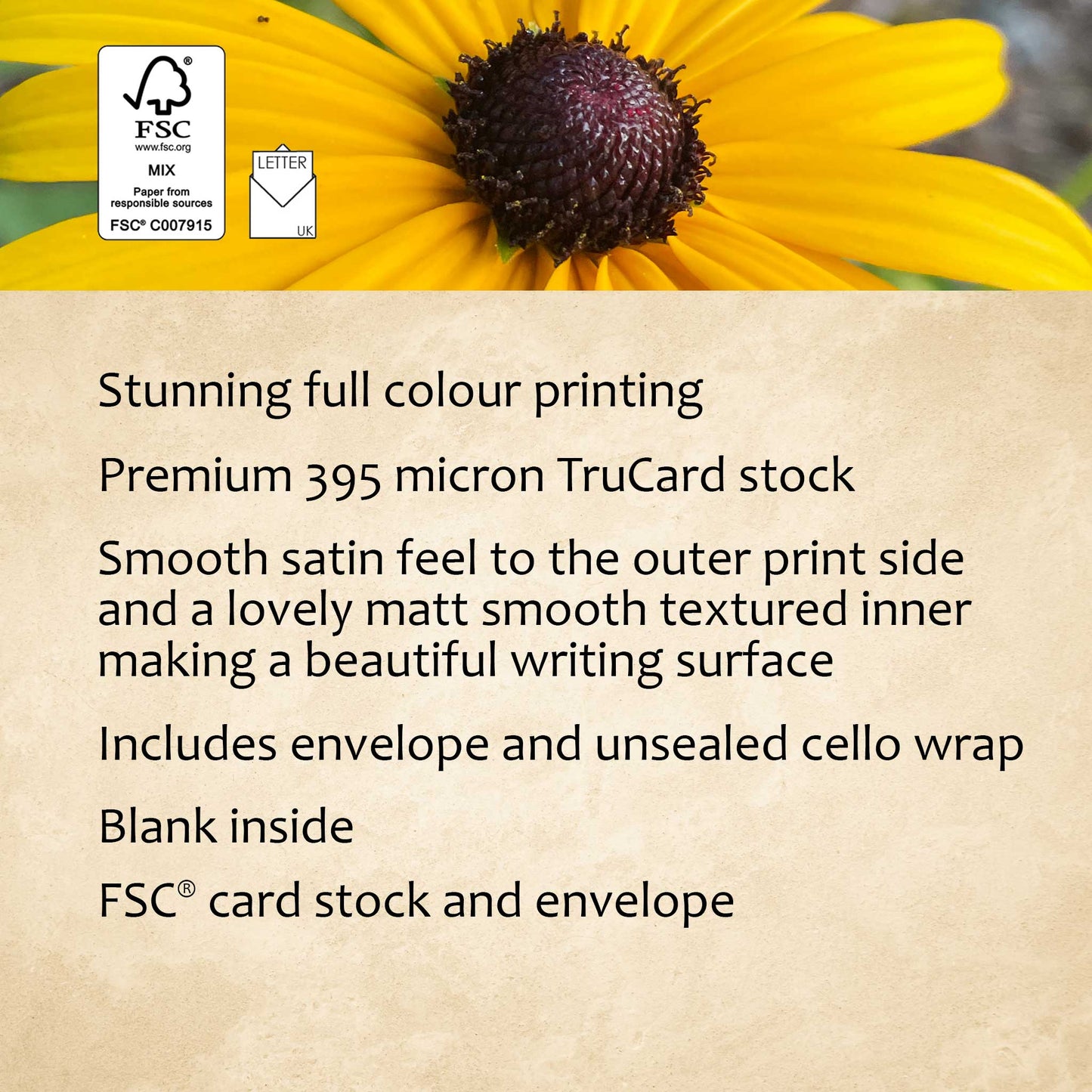 Black Eyed Susans Greeting Card