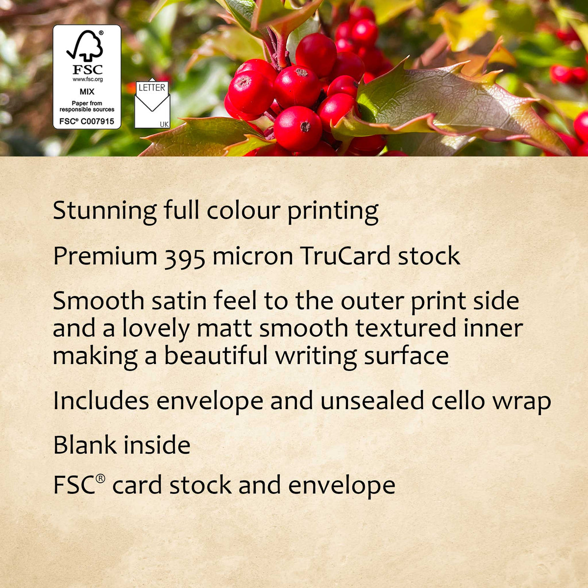English Holly
