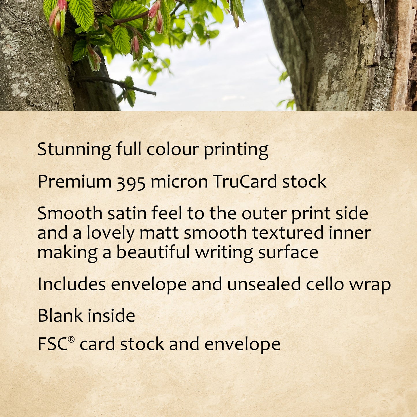 "Framed" Greeting Card