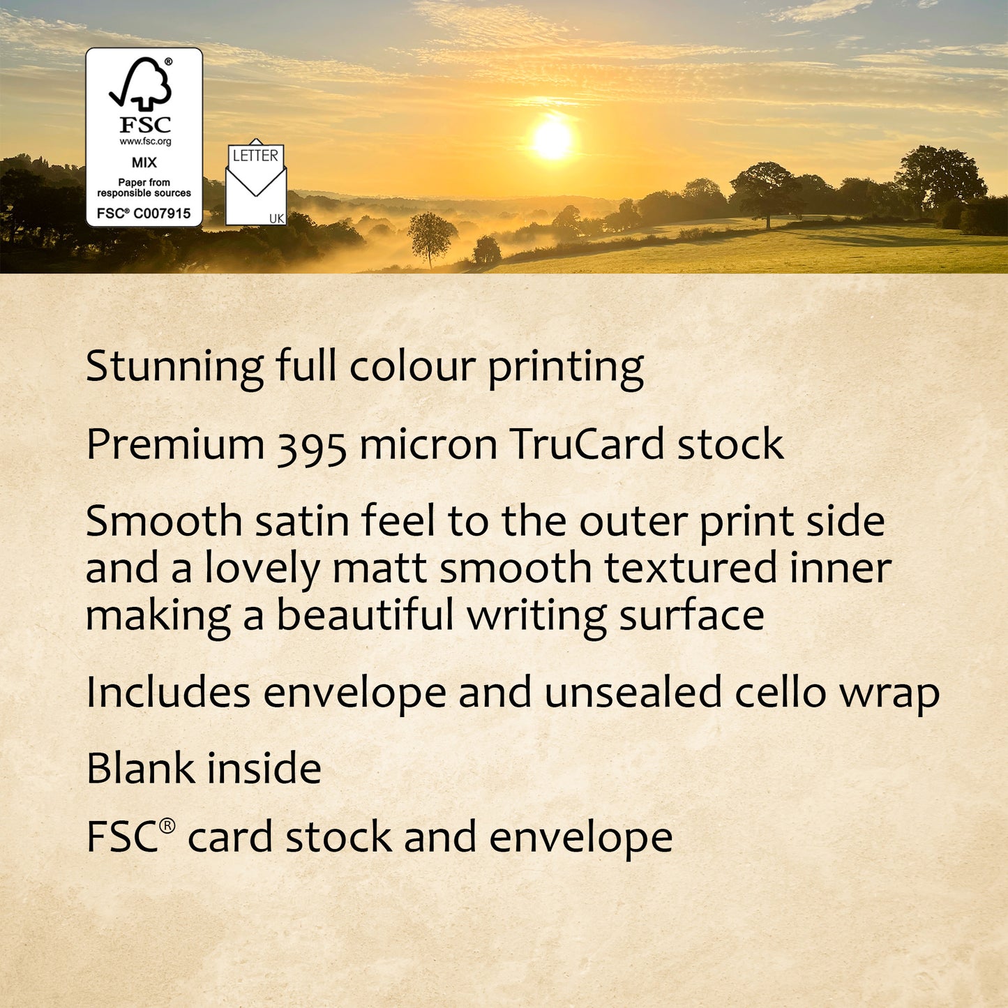 Morning Sun Greeting Card