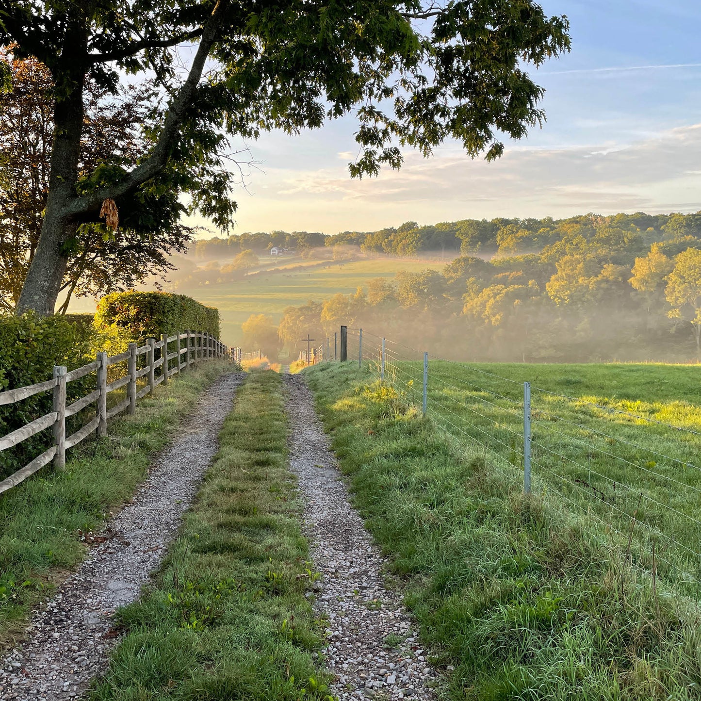 Farm Track Greeting Card